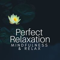 Serenity - Positive Thinking Lama
