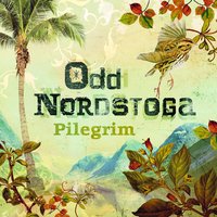 Når du kjem til meg - Odd Nordstoga