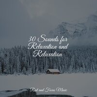 Midnight Bliss - Música Zen Relaxante & Sound Sleeping & Relaxing Music Therapy