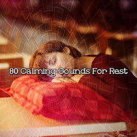 Forty Winks - Relaxing Music Therapy