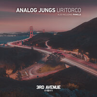 Punilla - Analog Jungs