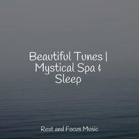 Winds of Grace - Meditative Music Guru & Relaxing Sleep Music & Native American Flute