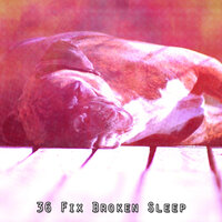 Insomniacs Remedy - Spa & Spa