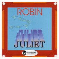 Lost In The Space - Robin