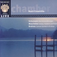 Fantasy, Variations, And Finale, Op. 46 For Clarinet, Violin, Cello, And PianoVariation I: Più Mosso - The Nash Ensemble