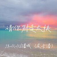 请你别走太快 - 潘成(皮卡潘) & 汪六六 & 王小叶