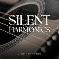 Sunset Harmony - Acoustic Guitar Zone