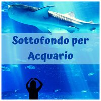 Rumore del mare - Acqua Naturale