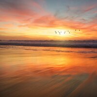 Meditaciones Relajantes - Música para Dormir Con Relajantes Sonidos de la Naturaleza & Naturaleza & Musica Para Meditar