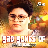 Kabhi To Tum Ko Yaad - Shazia Manzoor