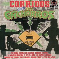 Corrido de Chuy Pruneda - Los Cachorros
