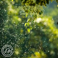 fresh start - saltysøul & Chg