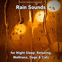 Rain Sounds for Night Sleep and Wellness Pt. 86 - Nature Sounds & Rain Sounds & Regengeräusche