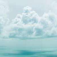 Calming Aura - The Rainforest Collective & Nature Sound Collection & Yoga Rain