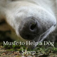 Thoughtful - Sleeping Music For Dogs