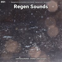 Regen Sounds, pt. 40 - Regengeräusche zum Einschlafen Franco Rodewig & Regengeräusche & Naturgeräusche