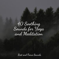 Peaceful Savannah Stroll - Especialistas de Musica para Dormir & Sounds of Nature White Noise Sound Effects & Meditação Yoga