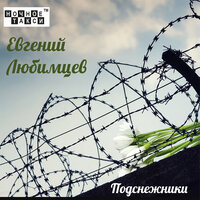 Этапом на Ишим - Евгений Любимцев