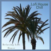 Moments of Doubts Are Here - Lofi House Chill