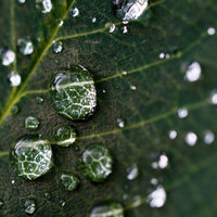 Rain Noise Paradise - Rain Sounds & The Nature Soundscapes & Music for Reading