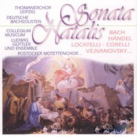 Antiphonae. "O, radix Jesse. Qui regis Israel. Iam surgit" in E Major - Schola Gregoriana