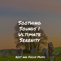 Interstellar Melody - Lullaby Babies & The White Noise Zen & Meditation Sound Lab & Meditation Music Club