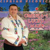 Scurta-I Viata Omului - Ciprian Picovici