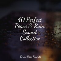 Gentle Campfire - Pacific Rim Nature Sounds & Classical New Age Piano Music & White Noise Nature Sounds Baby Sleep