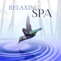 The Secret Garden (Yoga Music) - Serenity Spa Music Zone