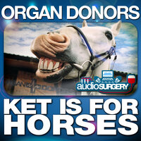 Ket Is for Horses - Organ Donors