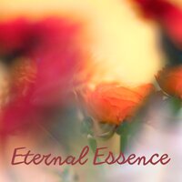 Ambient Oasis - extenz