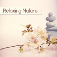 Reiki Song (Spa Music) - Spa Massage Solution