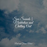 Secrets From a Babbling Brook - Binaural Beats Brainwave Entrainment & Academia de Música para Massagem e Relaxamento & Música para Relaxar Maestro