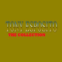 Crazy Conga - Tony Esposito