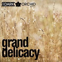 In a Peaceful Pace - 101 Dark Orchid Music