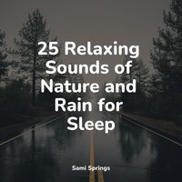 Waves of Rain - meditacou musica ambiente & Rain Sound Studio & Ruído branco
