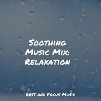 Calm Beneath the Surface - Rising Higher Meditation & Life Sounds Nature & Baby Sleep Lullaby Academy