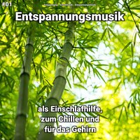 New Age Musik für Frauen - Entspannungsmusik & Entspannung & Schlafmusik