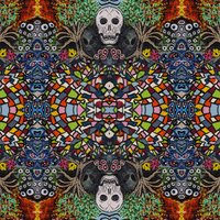 Jellyfish (Aiden's Song) - Run Dmt