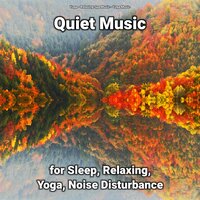 Quiet Music Pt. 68 - Relaxing Spa Music & Yoga Music & Yoga