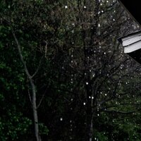 Rain in the Creek - Rainforest & Rain Sound Studio & Binaural Beats Brainwave Entrainment
