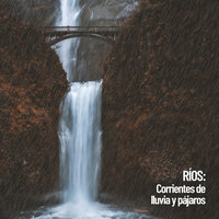 R’o en el bosque - Relajacion Del Mar & Música De Relajación Para Dormir Profundamente & Reiki Armonía
