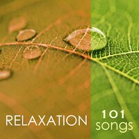Pain Relief - Spa Music Relaxation Meditation