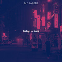 Mysterious Lofi Chill-hop - Vibe for Stress - Lo Fi Study Chill