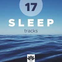Soothing Music (Wellness) - Relaxing Songs & The Yoga Body & Relaxing Songs & The Yoga Body