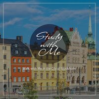 Walk with Me in the City of Stockholm, Pt. 15 - Bryan Maxwell