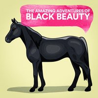 The Amazing Adventures of Black Beauty - The Bedtime Storytellers