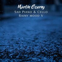 Infringe - Martin Czerny