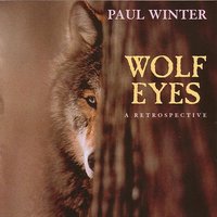 Dolphin Morning - Paul Winter