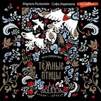 Марина Козинаки, Софи Авдюхина. «Тёмные птицы». Часть 20 - Агния Егошина